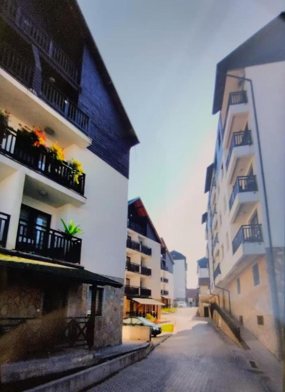 Beli Apartman U Zlatiborskim Konacima Bele Vode Bb מראה חיצוני תמונה